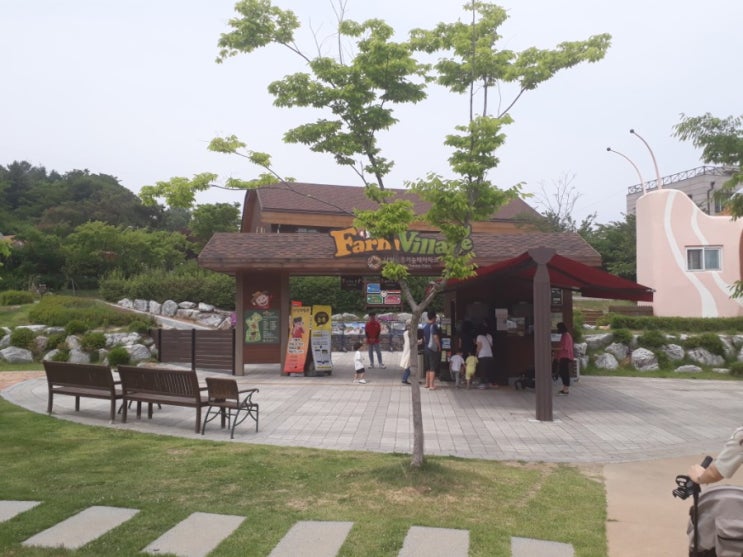  남양주 코코몽팜빌리지 나들이