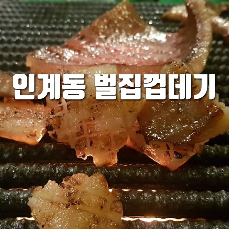  종각역 핫플레이스 용범이네 인계동껍데기 벌집껍데기가 야들야들 /종로 광장시장데이트