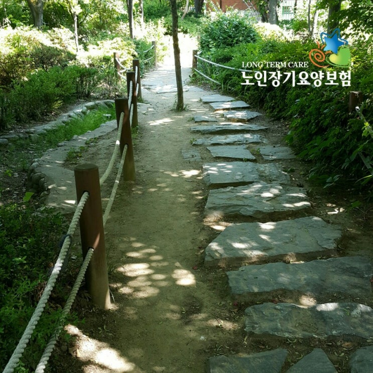 입주요양보호사 장기요양등급 받아 입주간병 이용하기 [입주간병인]