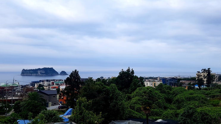  to  손흥민