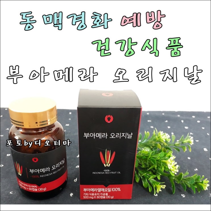  부아메라 오일 :: 동맥경화 예방에 좋은 건강식품