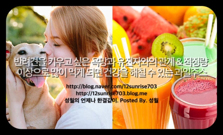  반려견을 키우고 싶은 욕망과 유전자와의 관계 & 적정량 이상으로 많이 먹게 되면 건강을 해칠 수 있는 과일주스 - [건강 관리 상식 503]