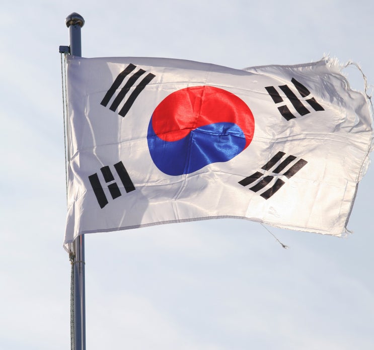  코끼리이비인후과 공휴일 진료안내 -6월6일-