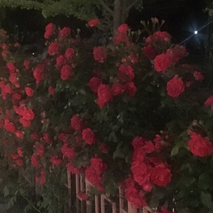  31.May.2019