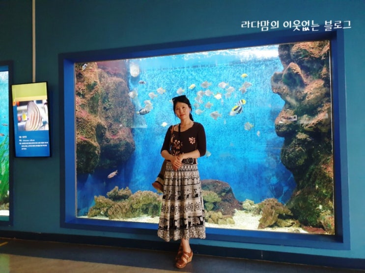  울산 고래축제 교통통제 주차방법 / 장생포 고래문화마을