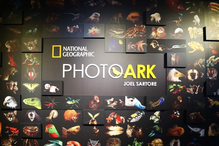 &lt;내셔널지오그래픽 특별전 포토아크 Photo Ark&gt;, 가족 나들이 전시회로 추천