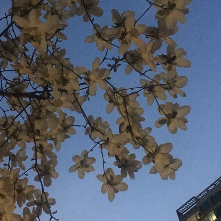  소중한 내 일상
