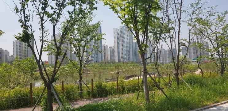  입주시작 미사강변 오피스텔 이편한세상시티미사 오피스텔 입주신청 하세요  