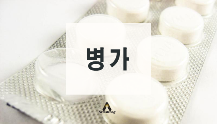  병가 편