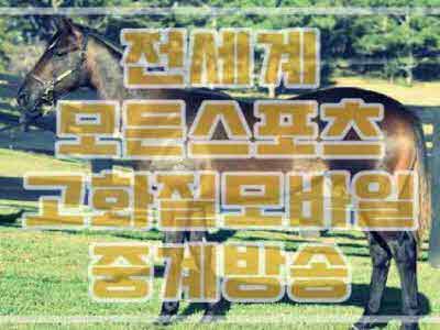 아르헨티나 말리 u20축구16강 6월5일 분석팁