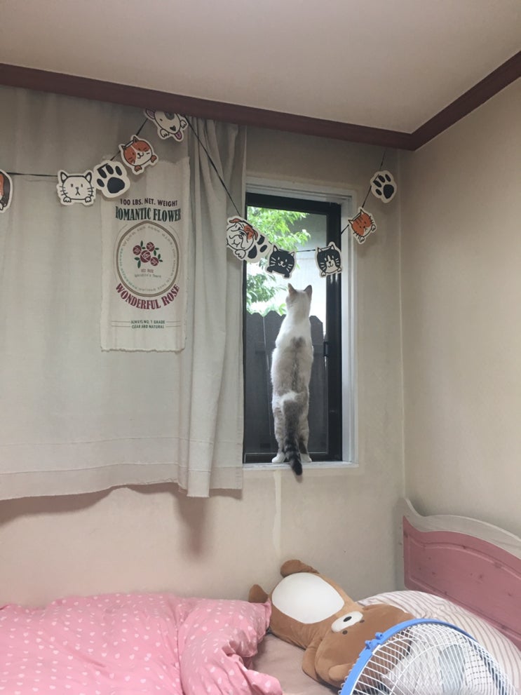  노잼일상