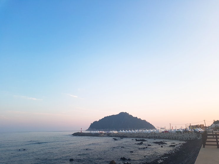  [제주도 보목리 자리축제] 스킨스쿠버 다이버가 함께하기