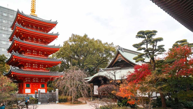일본 규슈의 핫한 온천 여행법과 또 다른 규슈를 만나는 여행법을 제안합니다