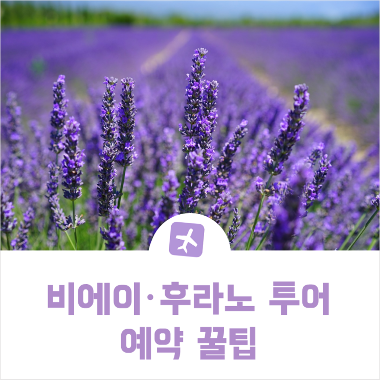  6월 삿포로 여행 - 비에이 후라노 투어 예약하기! / 준페이 예약 무료 대행, 휴무일 / 배틀트립 박나래, 이국주