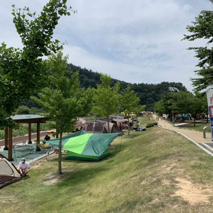  대구근교캠핑  [영천임고강변공원야영장] 가깝고 좋아요 !