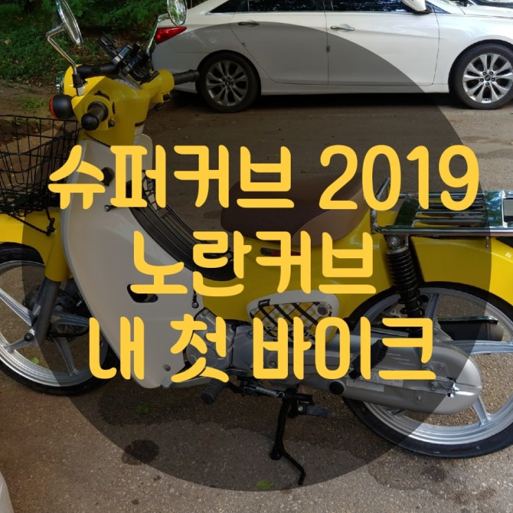  [ 슈퍼커브 ] 슈퍼커브 2019 노랑. 내 첫 바이크.