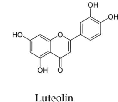 [포렌코즈-화장품 성분] 루테올린 ( Luteolin )