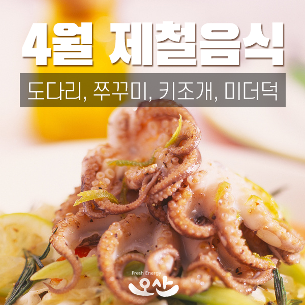  4월 제철음식 - 도다리, 쭈꾸미, 키조개, 미더덕