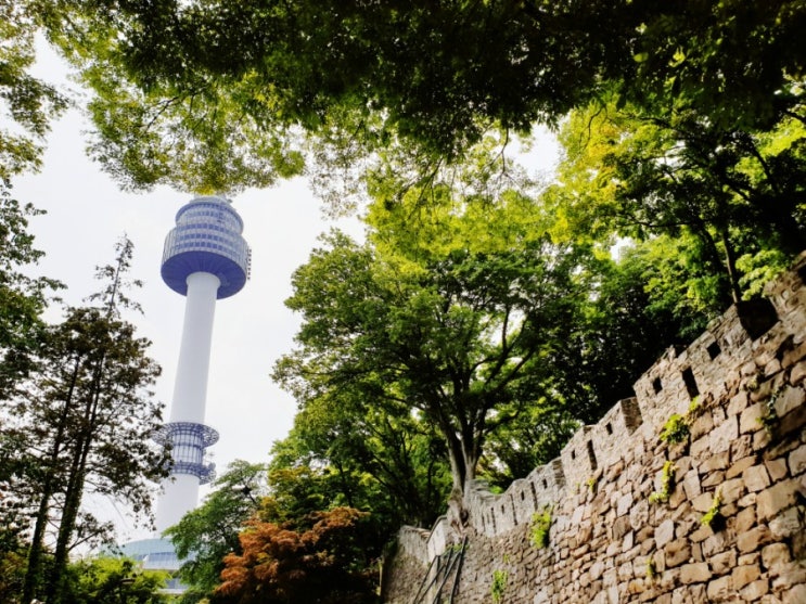  남산 둘레길 코스 데이트 서울역 완만한 코스로 다녀왔어욤(서울 남산 타워/남산 둘레길 가는 법 공유)