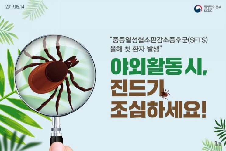  야외  활동시 진드기 조심하세요