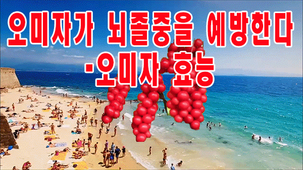  오미자가 뇌졸중을 예방한다 - 오미자 효능
