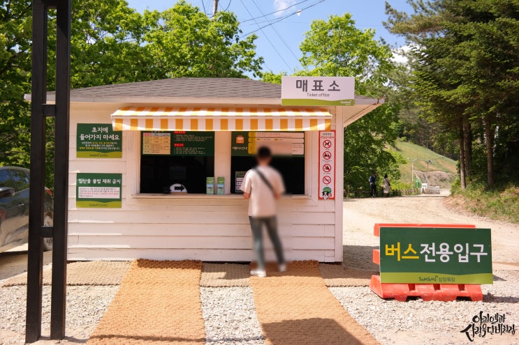  대관령 삼양목장 강릉여행이라면 들려주세요