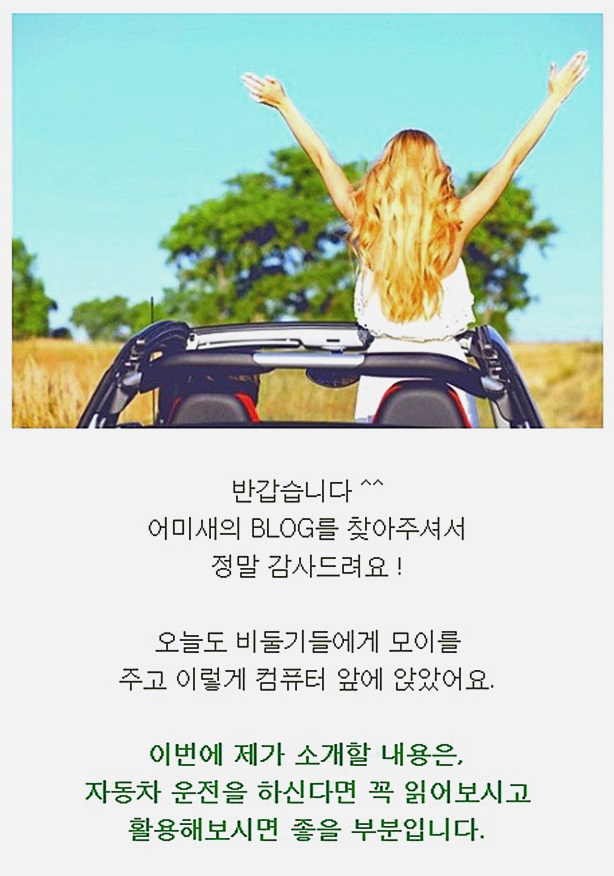  자동차보험슈퍼마켓 No.1 site 