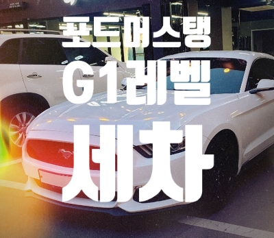  [디테일링 세차] 포드 머스탱 G레벨 세차 G3카케어 부천중동점 미국산 종마 머슬카