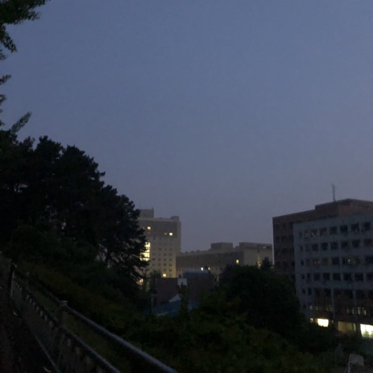  저번주도 바빴은데 이번즈도 바쁘구 다음주도 바쁠듯