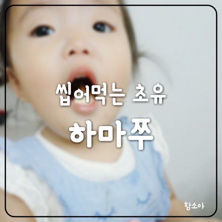 어린이 영양간식은 함소아 씹어먹는 하마쭈초유로 건강하게 먹이세요~