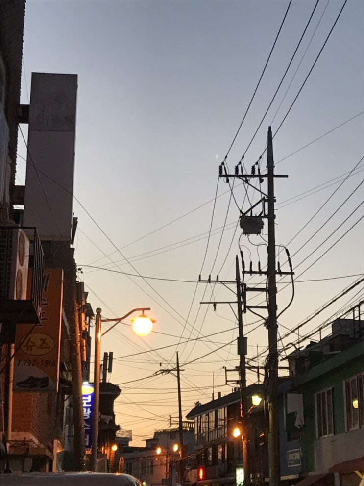  하루