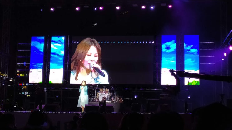  2019 안산 러빙유 콘서트 현장 스케치(손승연, 최혜영, 노브레인, 알리, 김태우)