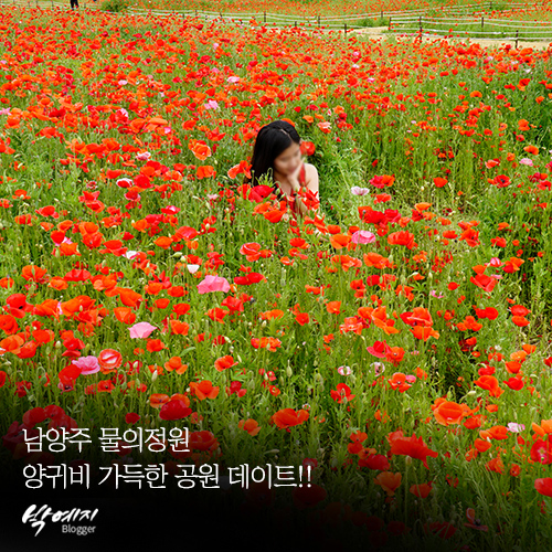  남양주 물의정원 양귀비 가득한 공원 : 아이와 자전거 타기 좋아 !
