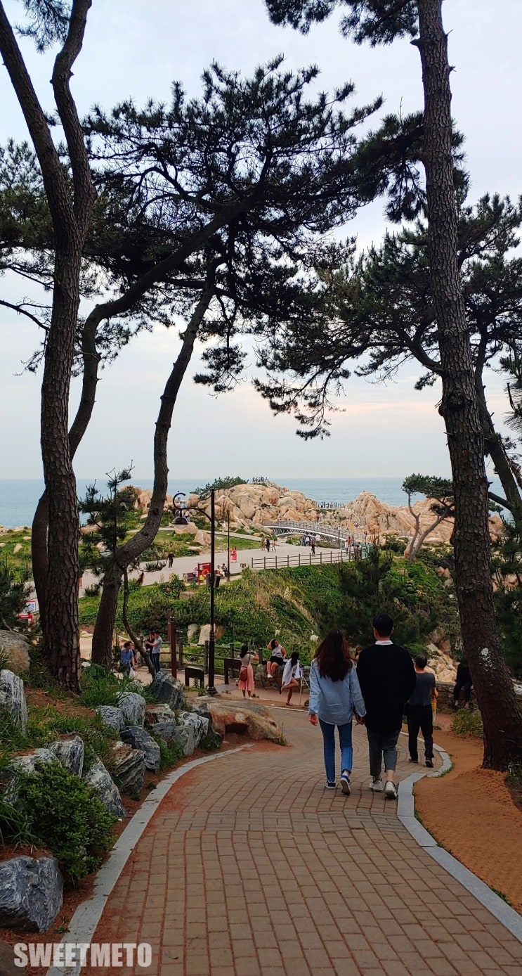  울산 가볼만한곳 :) 대왕암공원 - 어머 꼭 가봐야해!
