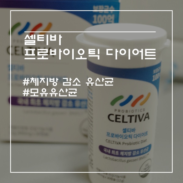  [리뷰]내돈주고 내가산 셀티바 체지방 감소 BNR17(비앤알17) 모유유산균 65일차 솔직후기