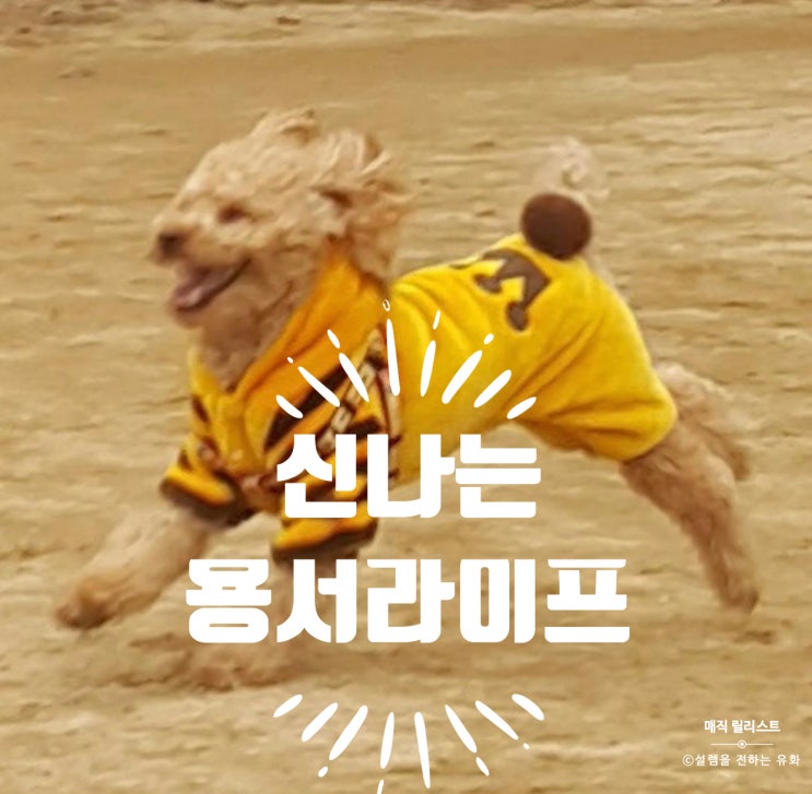  호오포노포노, 용서를 위한다면 성인군자가 되려 하지 말기.