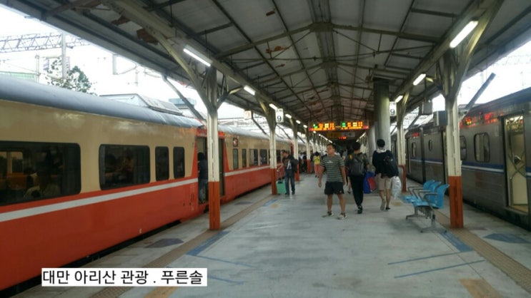  *2019년 6월 2일 일요일 대만 아리산 관광(1) - 아리산 둘러보기.