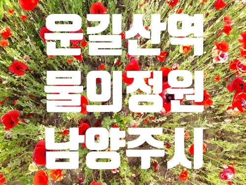  운길산역 물의정원 좋아요~