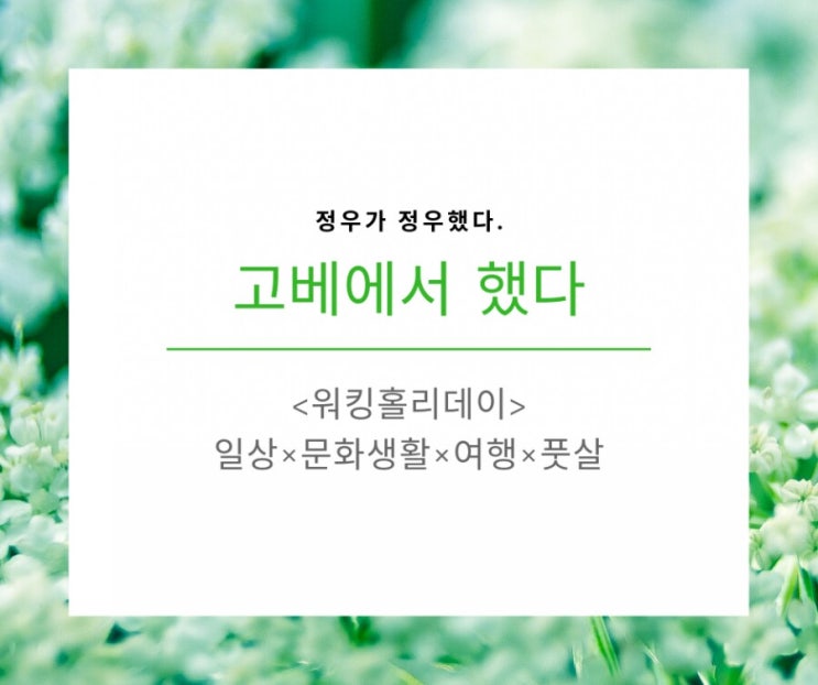  고베 워홀 D+1~2) 워킹홀리데이 비자 사용, 재류카드, 구약소, 건강보험, 주소 등록