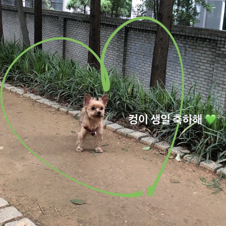  쓱 6월 일기