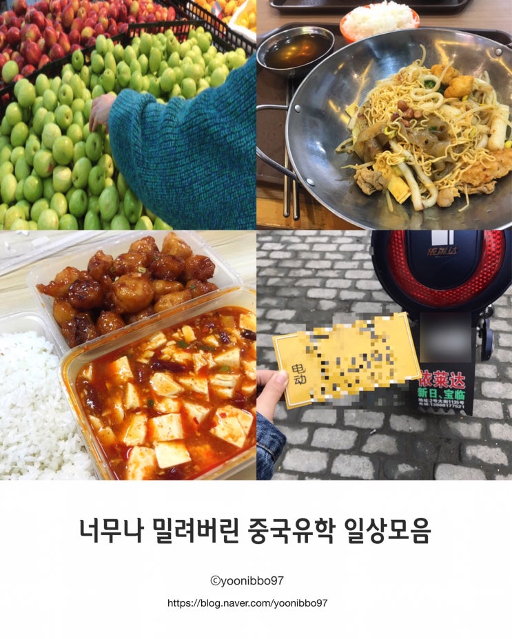  [유학생블로그/유니뽀] 중국 유학생의 밀린 일상 모음 | 먹부림은 기본 ! 우메이 장보기, 띠엔동 번호판 교체등