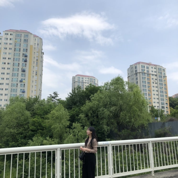  19.06.02 일상의 기록