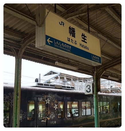  야마구치현 미네시 아키요시 동굴
