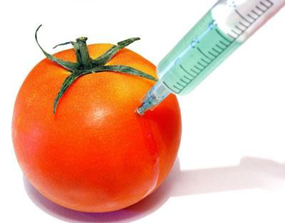 GMO 과연 믿을 수 있는 것일까? 하나부터 열까지 알아보자.
