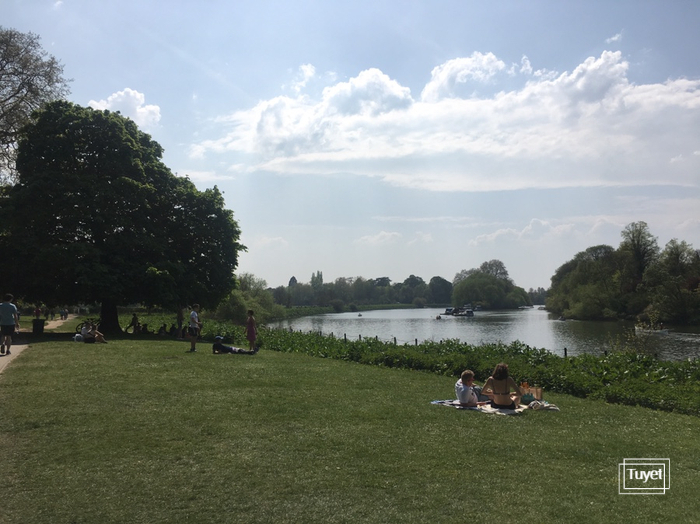  [Apr/2019] 'green' Easter bank holiday