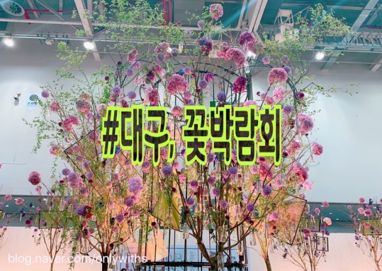 2019 대구 꽃박람회 후기 대구엑스코 꽃전시회 포토존