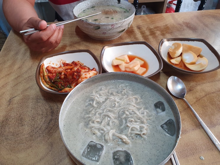 어머 여긴 꼭 가야돼 콩국수와 메밀칼국수 제주도민맛집 돈물국수