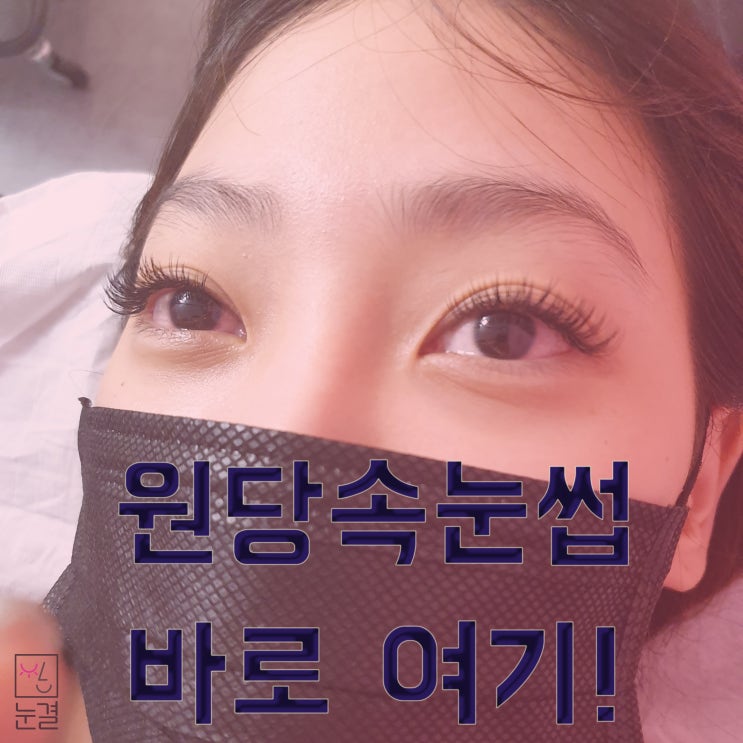  원당 속눈썹 C컬 연장 잘하는 곳 여기야!