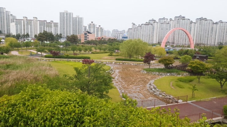 [느린리뷰] 파주 운정 신도시 운정건강공원 :: 나무놀이터, 바닥분수, 안개분수