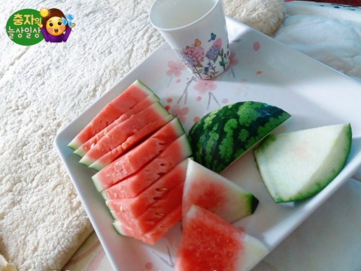  일상이 곧 늘어짐&먹부림..